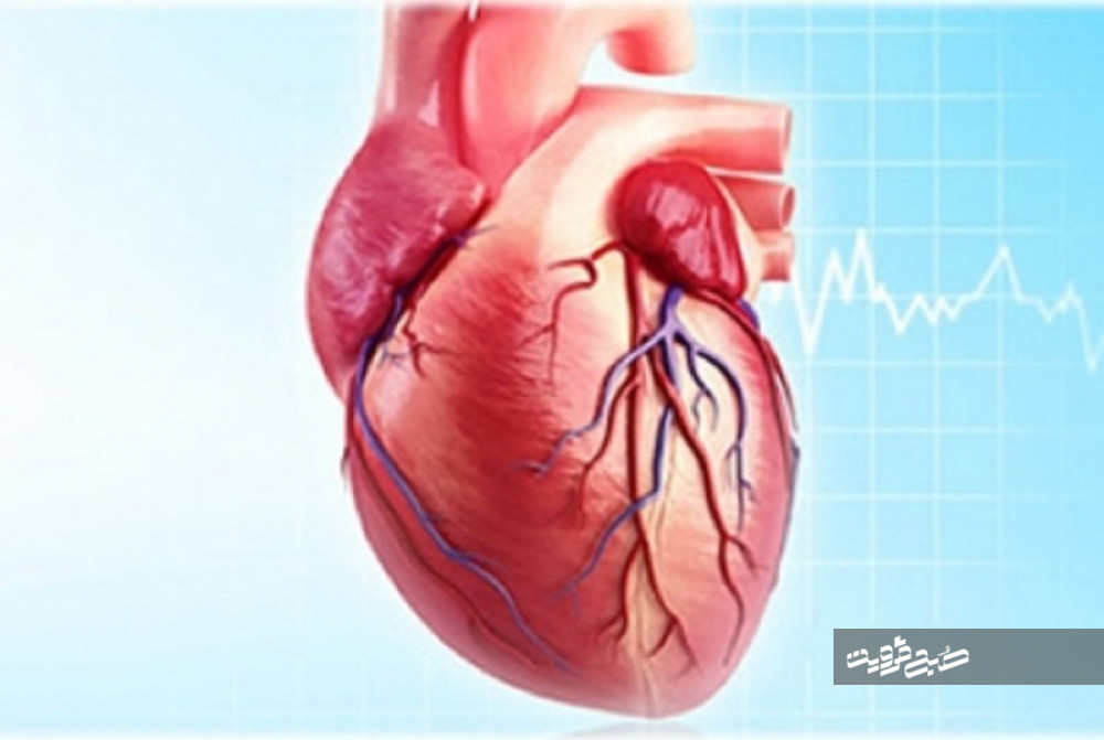 دستیابی به روش بازسازی بافت قلب با استفاده از پروتئین چندکاره