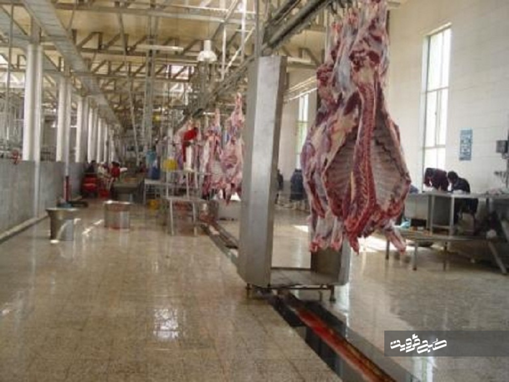 نظارت دامپزشکی قزوین بر خروج ۲۴هزار ۷۳۹تن گوشت قرمز و مرغ از کشتارگاه‌ها