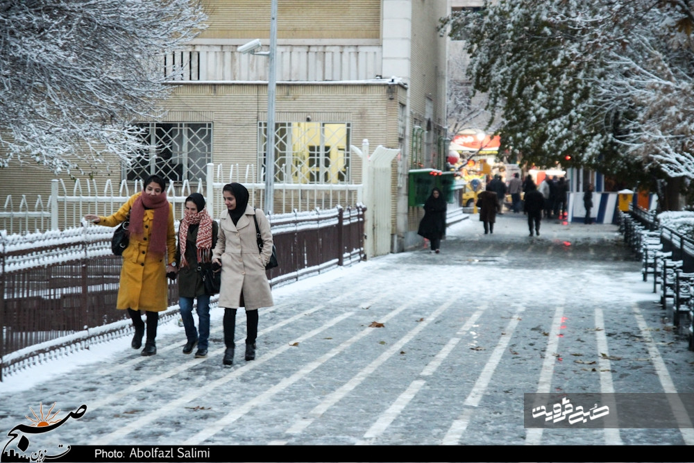 بارش برف در استان قزوین آغاز شد 