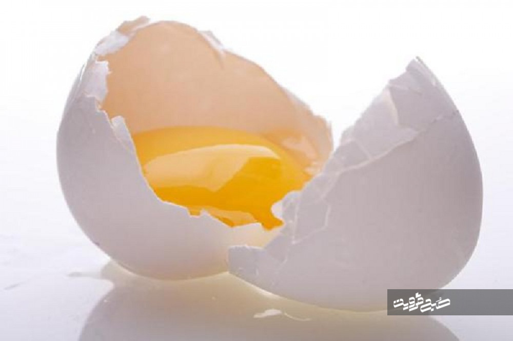 هر کیلوگرم تخم مرغ ۵۵۰۰ تومان