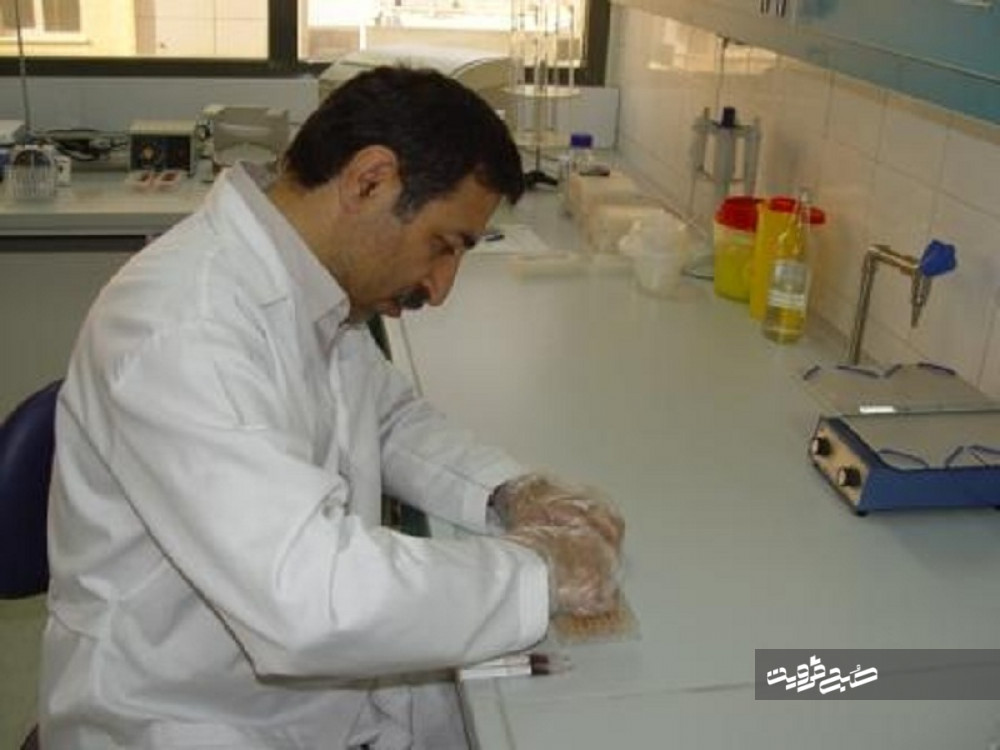 تشخیص مولکولی آنفلوانزای پرندگان در دامپزشکی قزوین