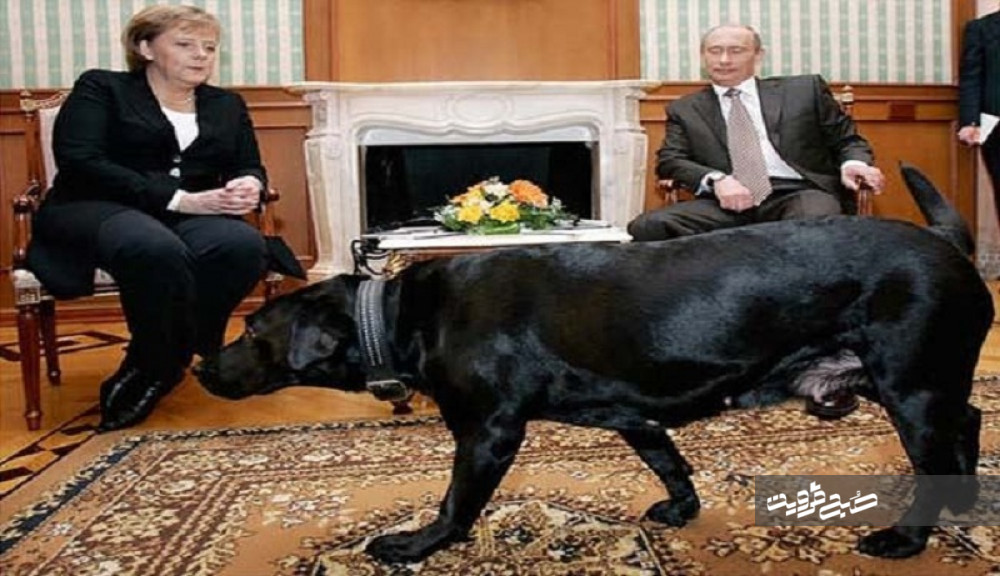 سگ سیاه و ترسناک پوتین در دیدار وی با آنگلا مرکل +تصاویر