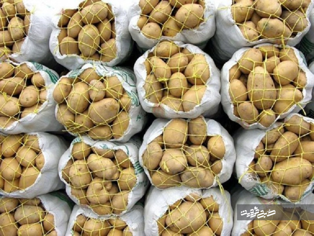  ایران ۵ هزار تن سیب‌زمینی از هند خرید