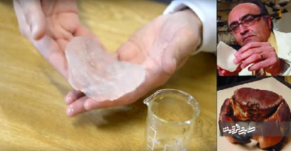 ساخت نخستین باند زخم از پوست خرچنگ توسط دانشمند ایرانی