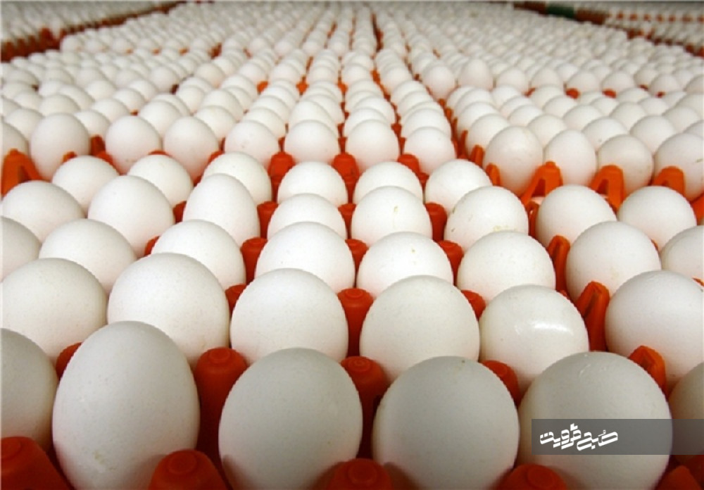 عرضه تخم مرغ با ۲برابر نرخ مصوب در بازار قزوین 