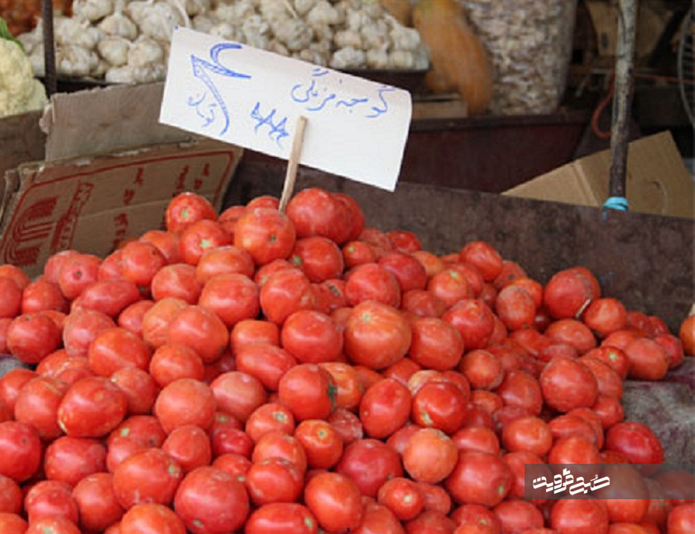 جولان قیمت موز در بازار/ جای خالی گوجه فرنگی در سبد خانواده‌های قزوینی
