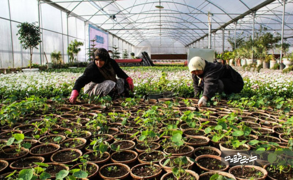 ایجاد ۳۱۰ مورد اشتغالزایی در بخش کشاورزی قزوین
