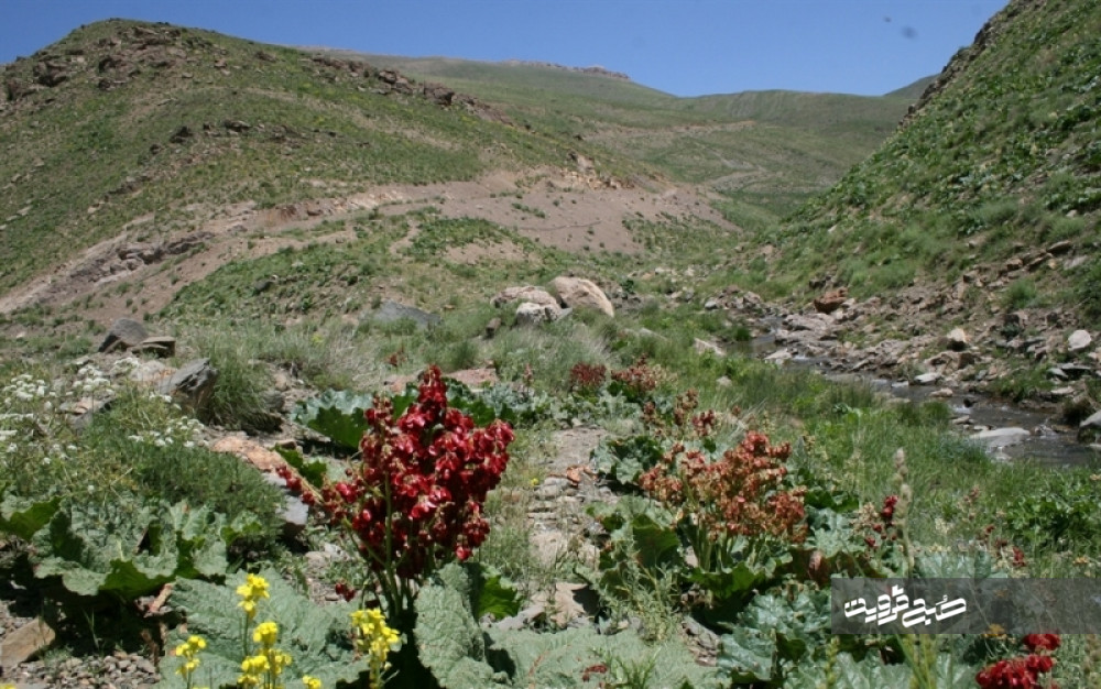 ساخت مستند "اقلیم" با محوریت معرفی جاذبه‌های گردشگری الموت 