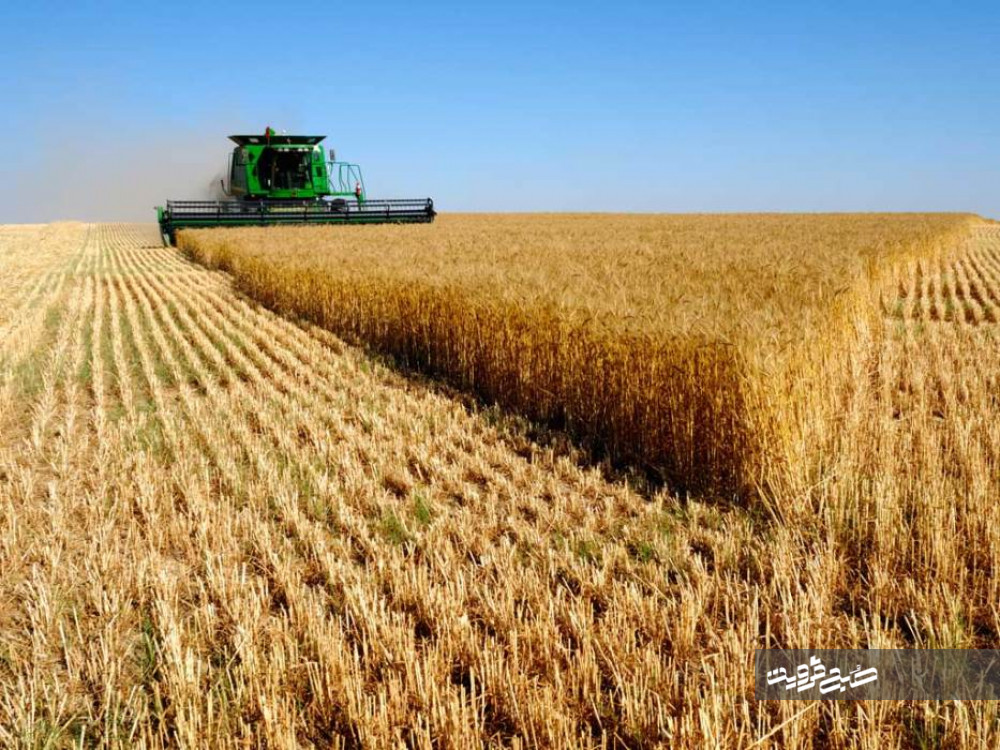 تولید محصولات زراعی در قزوین ۱۶۰درصد افزایش داشت