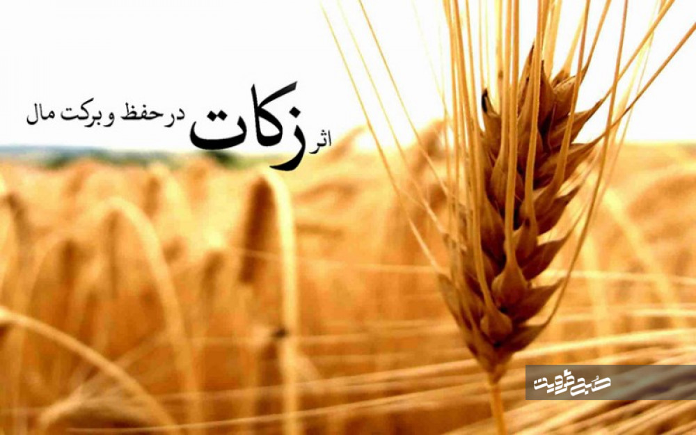جمع آوری بیش از ۱۷ میلیارد ریال زکات در شهرستان البرز 