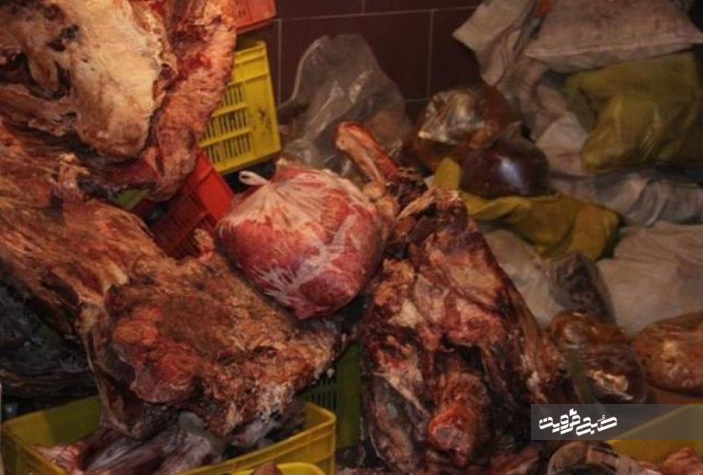 کشف بیش از ۹ هزار کیلو گوشت فاسد در کشتارگاه‌های دام