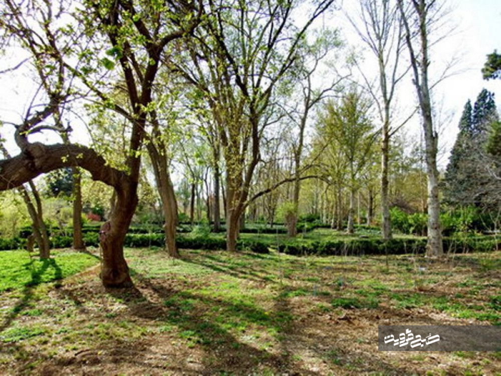 عدم تصمیم گیری و اجرا، مشکل اصلی باغستان سنتی قزوین است