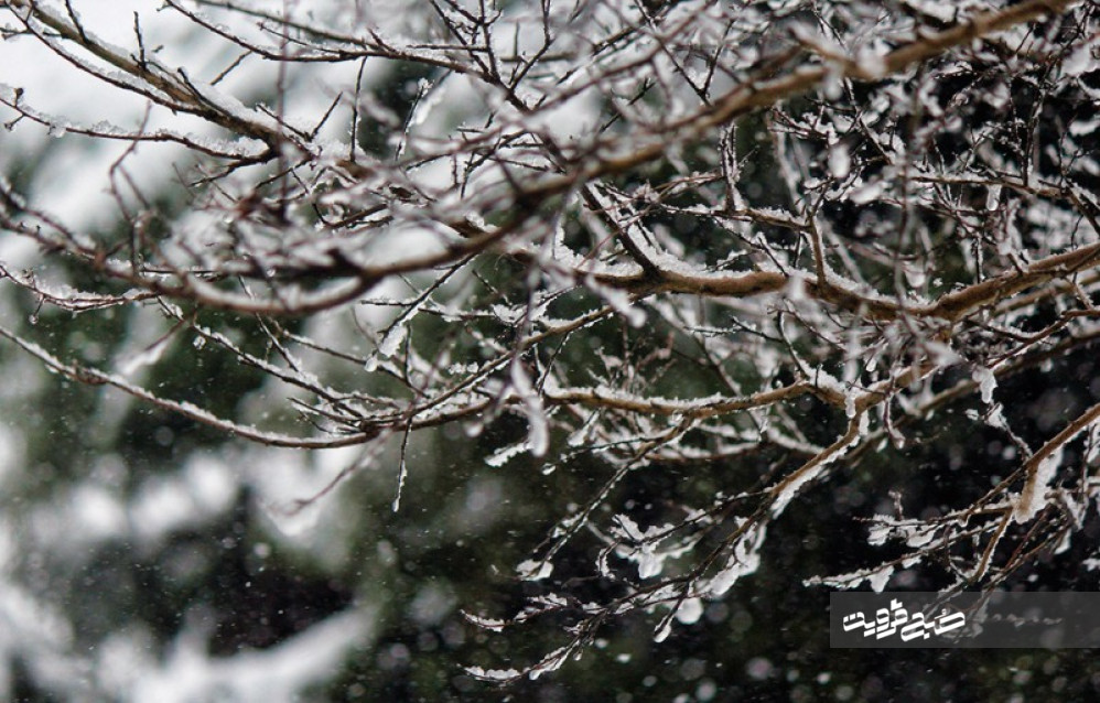 بارش برف و باران در قزوین کاهش دما را به دنبال دارد 
