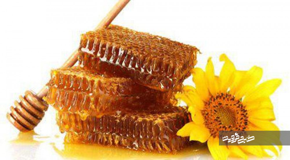 سالانه ۹۰۰ كيلوگرم عسل طبیعی توليد می‌کنم