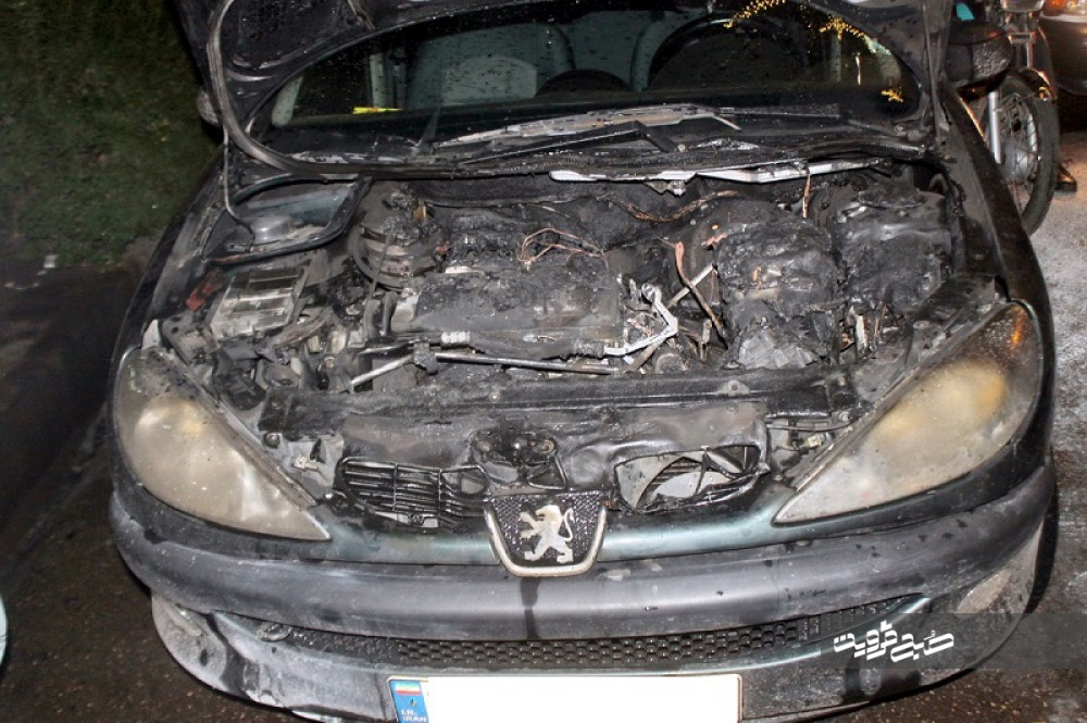 خودروي پژو ۲۰۶ در قزوین دچار حریق شد+تصاویر