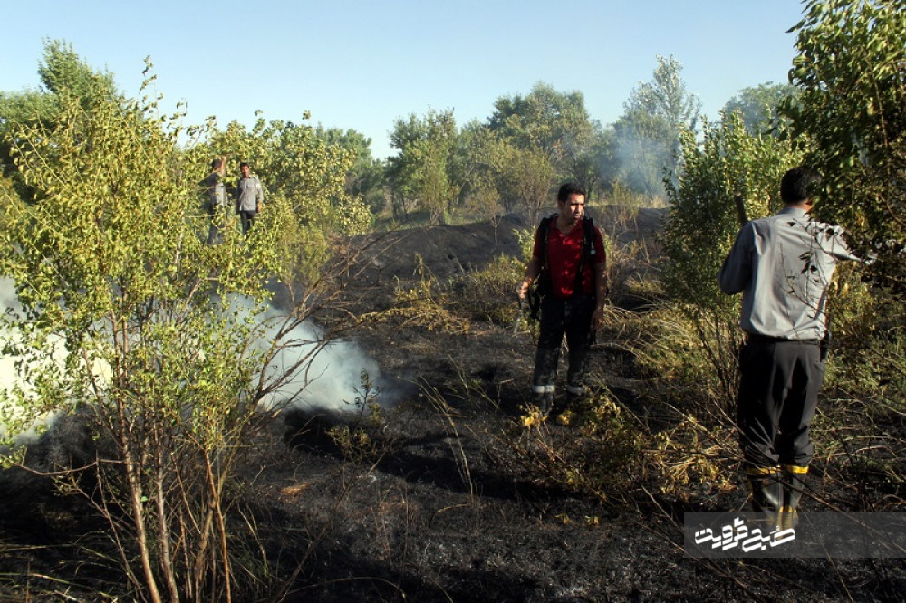 آتش سوزی در ۸۲۳ مورد از باغات قزوین+تصاویر