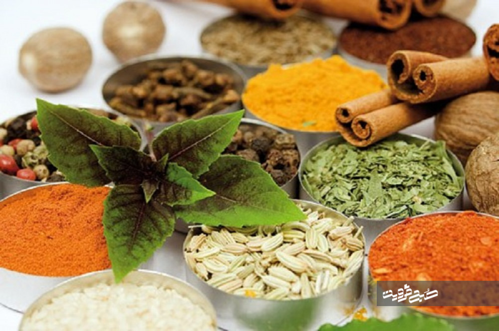 ۳۰۰ نوع گیاه دارویی در قزوین وجود دارد 