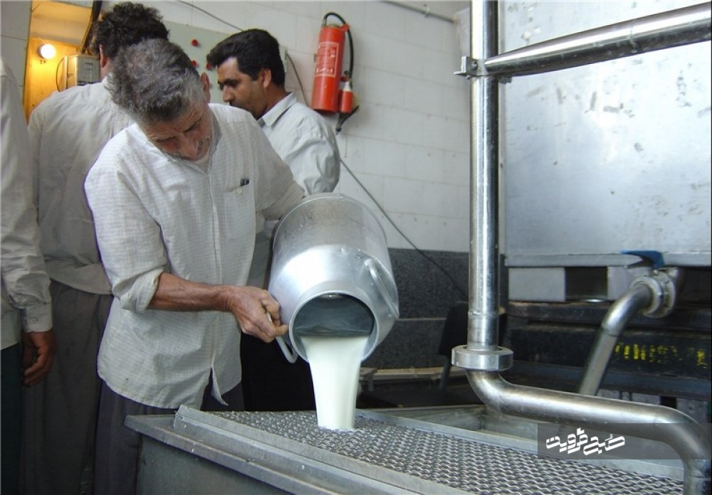 تولید شیرخام در کشور از مرز ۹ میلیون تُن گذشت/ تورم عامل افزایش قیمت گوشت و مرغ
