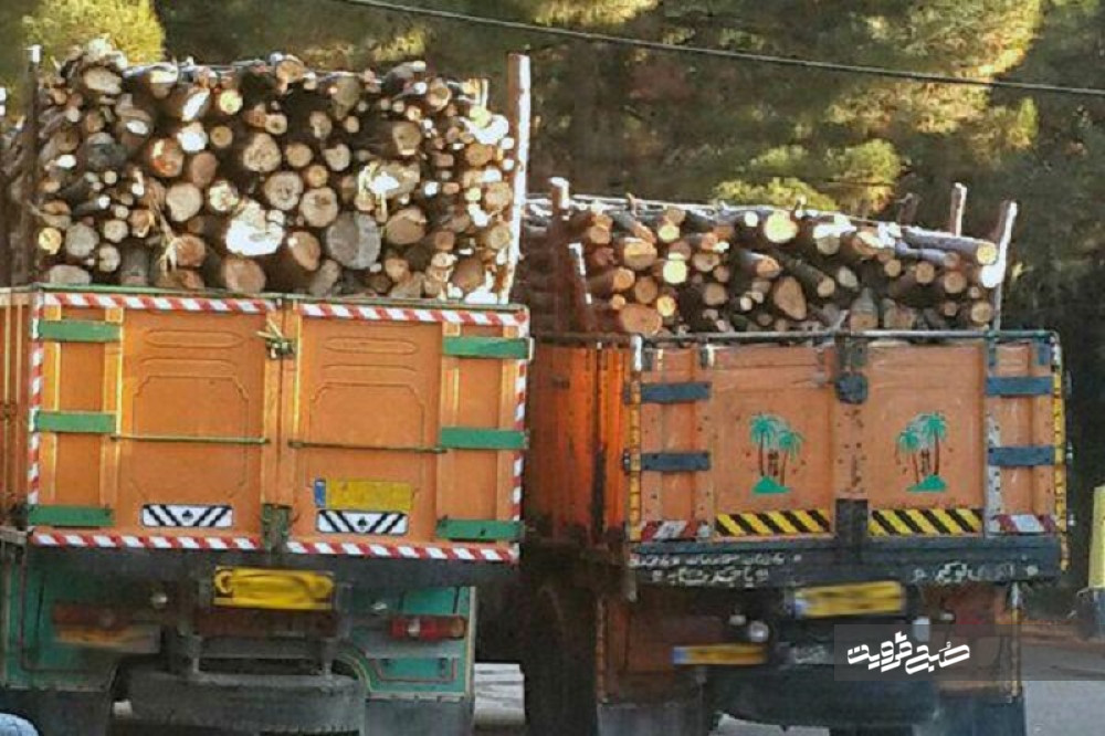۲۰ تن چوب قاچاق در قزوین کشف شد