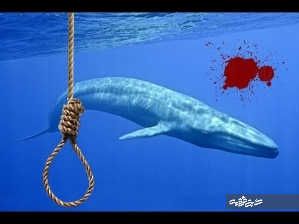 پلیس، نقش «نهنگ آبی» در خودکشی دختران نوجوان اصفهانی را تایید کرد؛ وزیر ارتباطات چه چیزی را تکذیب می کند؟/ آیا دولت به جای لاپوشانی واقعیت، به فکر چاره‌‌ی مخاطرات فضای مجازی خواهد افتاد؟