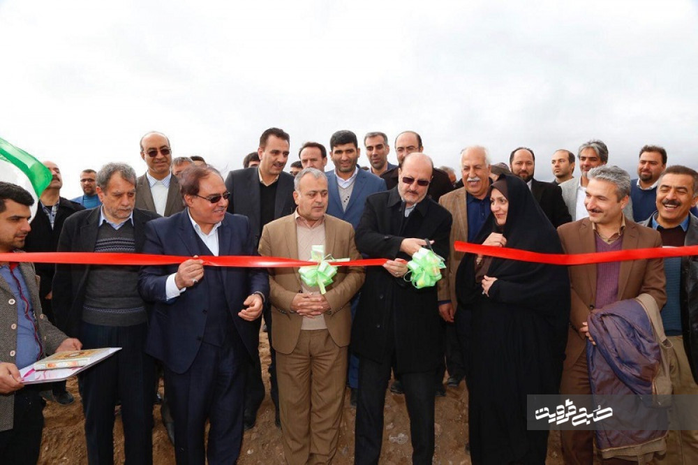 بزرگترین طرح نهالستان "زیتون" استان قزوین به بهره برداری رسید