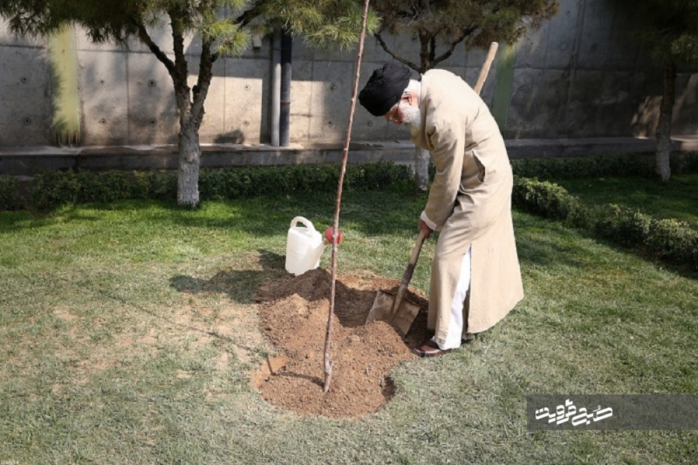 رهبر انقلاب: مسئولان مانع از بین رفتن درختان و باغات موجود در شهرها شوند