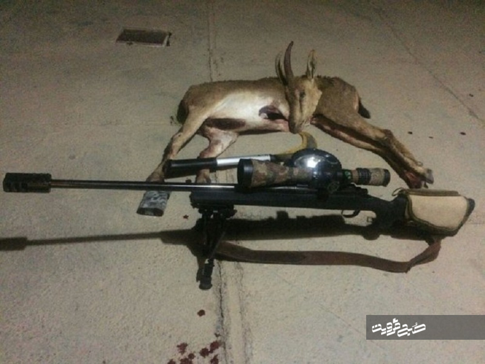 دستگیری دو شکارچی غیر مجاز در ارتفاعات اکبرآباد 