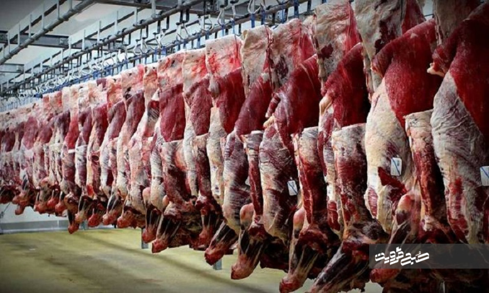 واردات گوشت‌ به‌صورت دام زنده برای رفع گرانی‌ها درحال انجام است