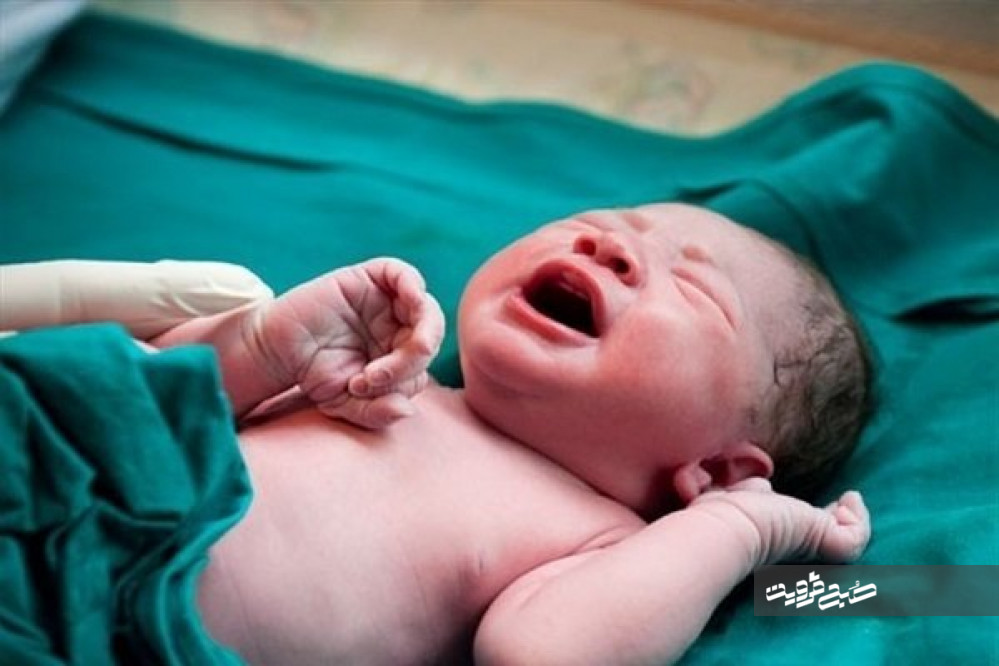 «امیرعلی»و«فاطمه» در صدر اسامی نوزادان قزوینی است/ کاهش ۱۵درصدی ولادت در استان