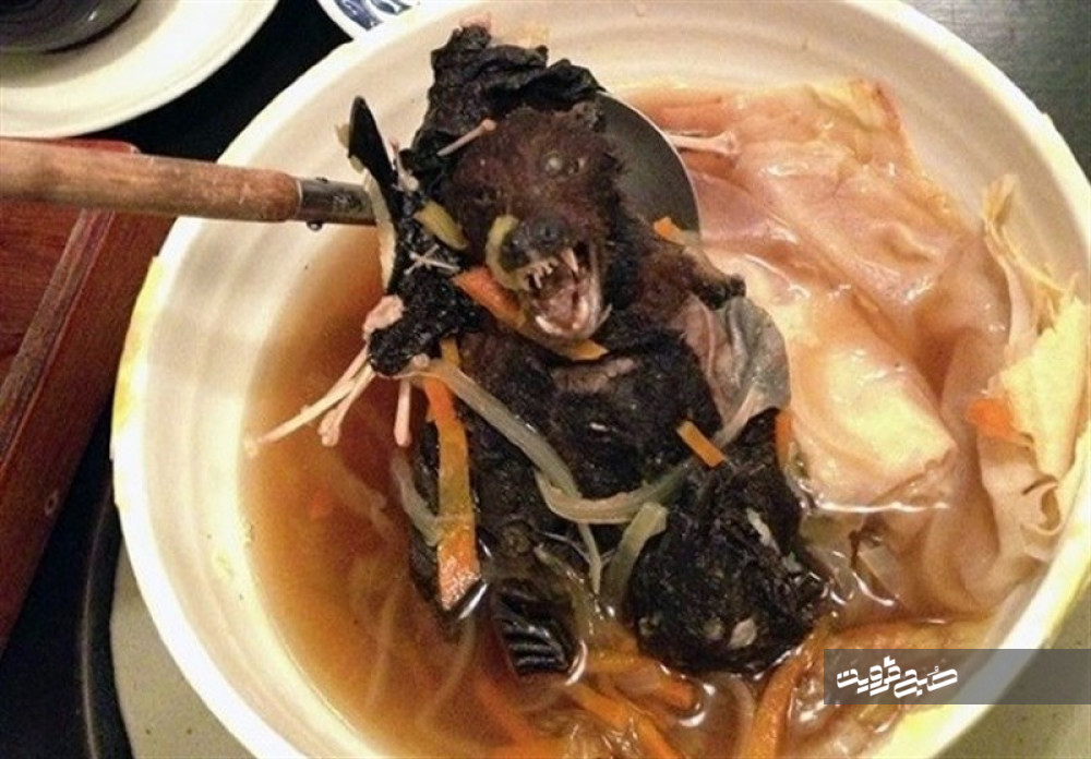 چطور "خفاش، موش، سوسک، سگ، قورباغه" وارد رژیم‌ غذایی چینی‌ها شد؟!
