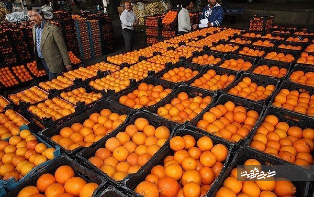 توزیع میوه شب عید در قزوین آغاز شد
