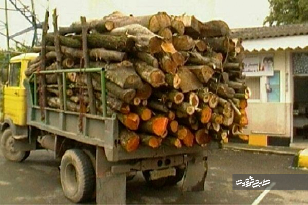 ۱۶ تن چوب قاچاق در تاکستان کشف شد