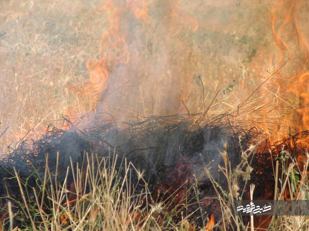 کشاورزان از آتش زدن بقایای خشک گیاهی در مزارع خودداری کنند