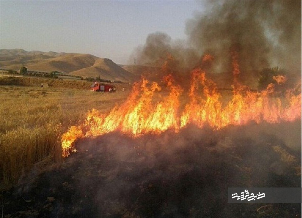 بیش از ۲۰۰ هکتار اراضی قزوین در آتش سوخت/ خطای انسانی عامل ۹۴ درصد از حریق‌ها