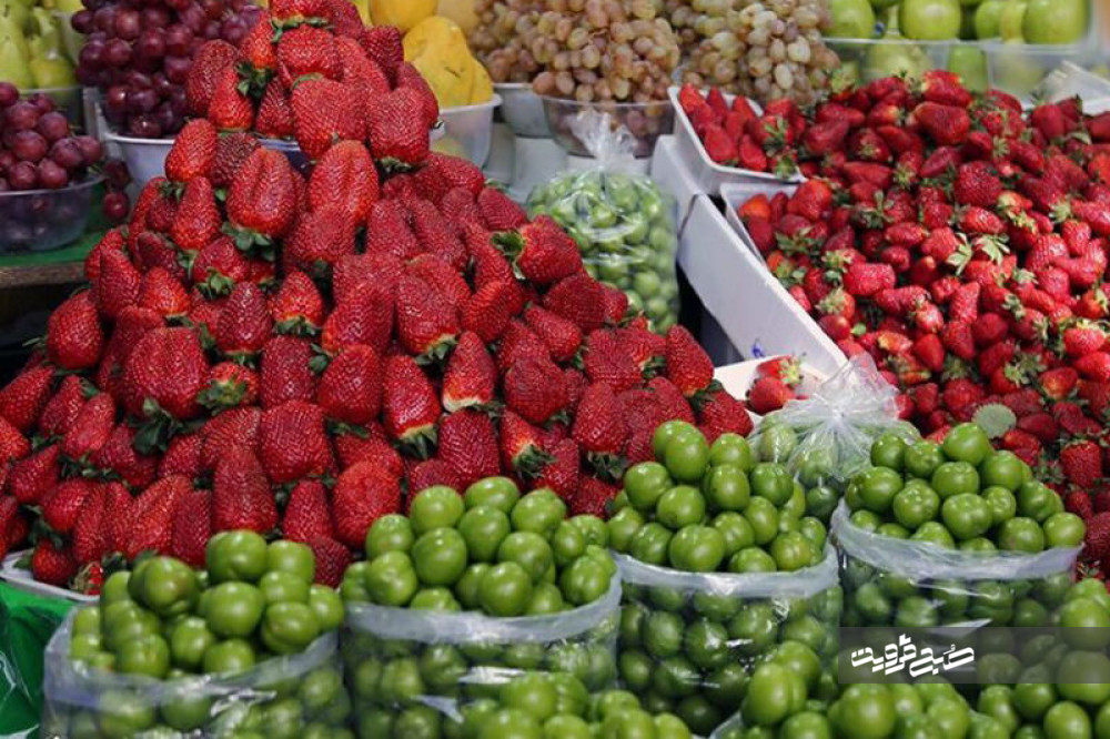 صادرات عامل گرانی میوه‌ها در بازار قزوین است/ کاهش ۳۰ درصدی قیمت نوبرانه‌ها