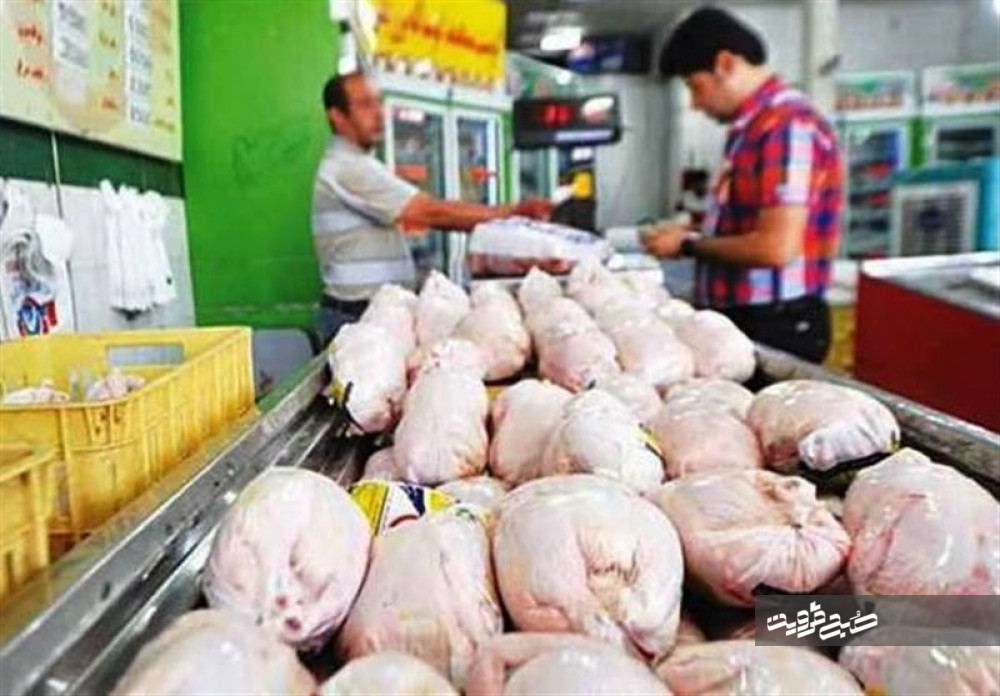 گرانی مرغ ادامه دارد/ افزایش قیمت‌هایی که روزبه‌روز سفره مردم را کوچکتر می‌کند