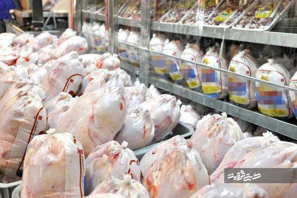عرضه مرغ بیش از قیمت ۱۵ هزار تومان ممنوع است/ احیای ۵۶ واحد تولیدی در قزوین