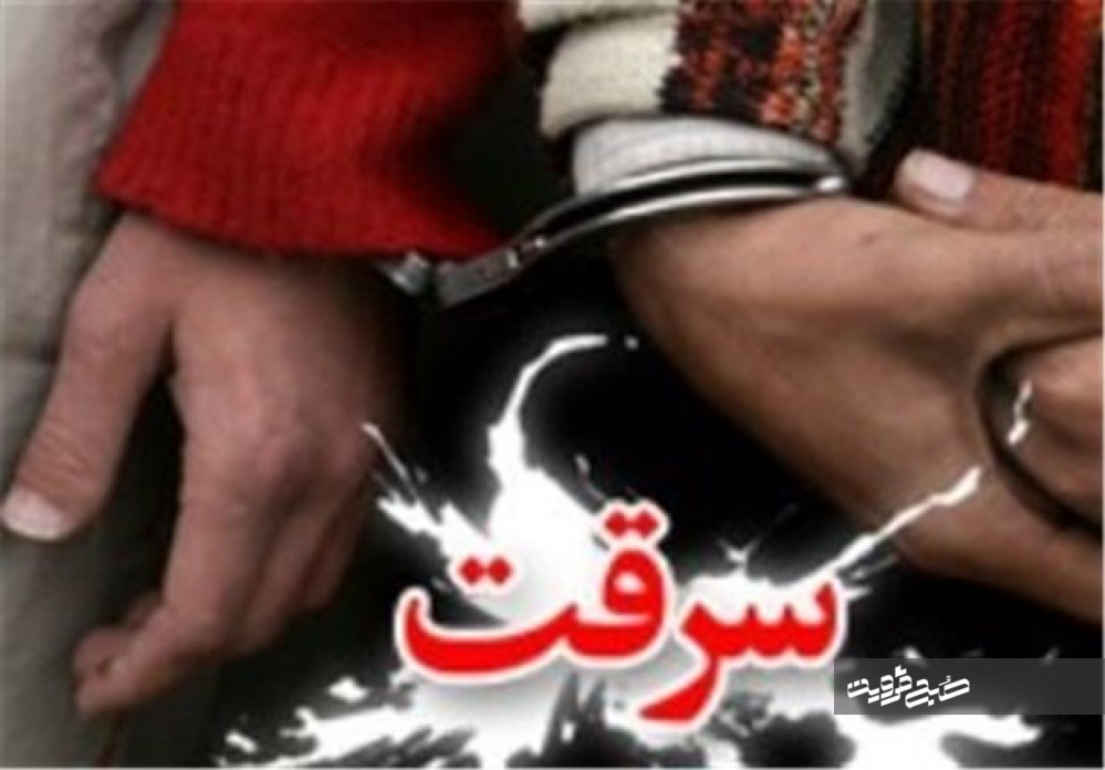 کاهش ۱۰۰درصدی سرقت‌های مسلحانه در قزوین/ شهر اقبالیه مامنی برای خریدوفروش اموال مسروقه شده است