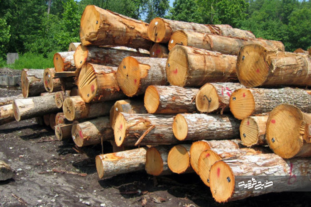 ۱۲ تن چوب قاچاق در شهرستان تاکستان کشف شد