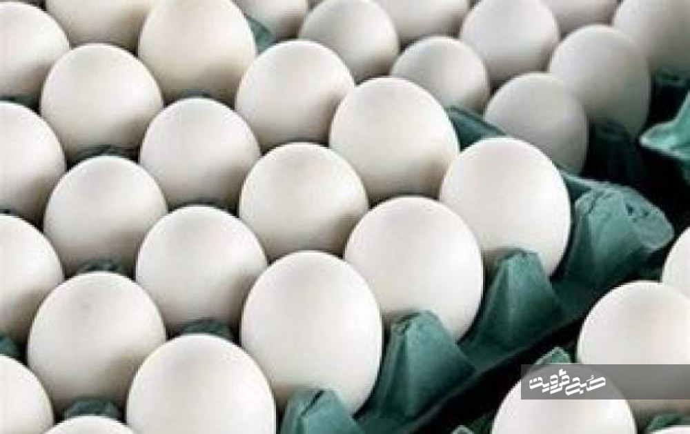 قاچاق تخم‌مرغ؛ هر شانه ۷۰ هزار تومان
