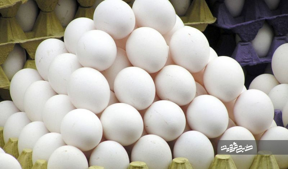 افزایش ۲۳درصدی مرغ و تخم‌مرغ در استان قزوین/ مغایرت در نهاده ورودی و خروجی نداریم