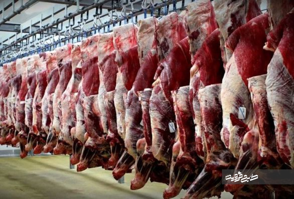 بیش از ۵هزار تن گوشت قرمز در قزوین تولید شد