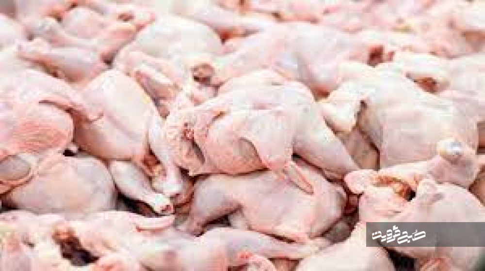توزیع روزانه ۴۰ تن مرغ در فروشگاه‌های بزرگ زنجیره‌ای استان قزوین