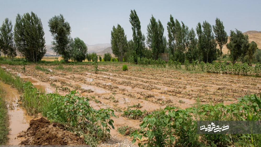 خسارت میلیاردی سیل به بخش کشاورزی آوج