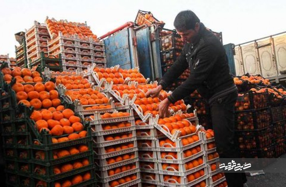 بیش از یک‌هزار تن میوه شب عید در استان ذخیره می‌شود