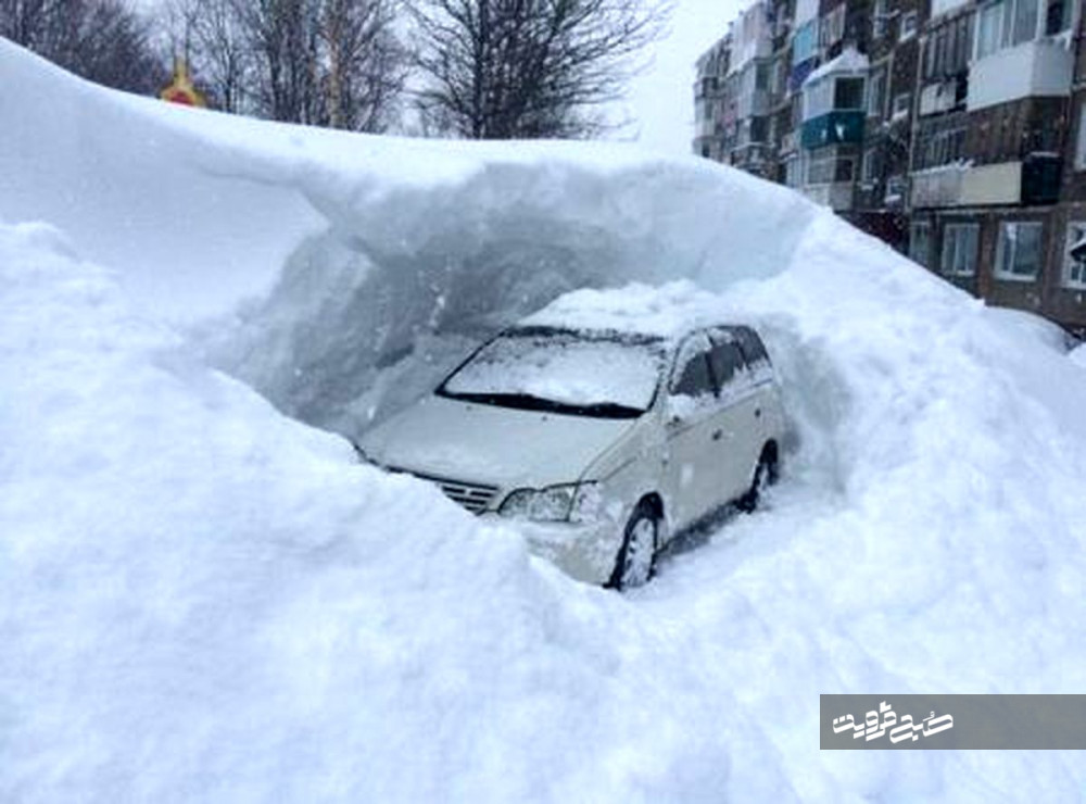 عکس/ خودروهای یخ زده در روسیه