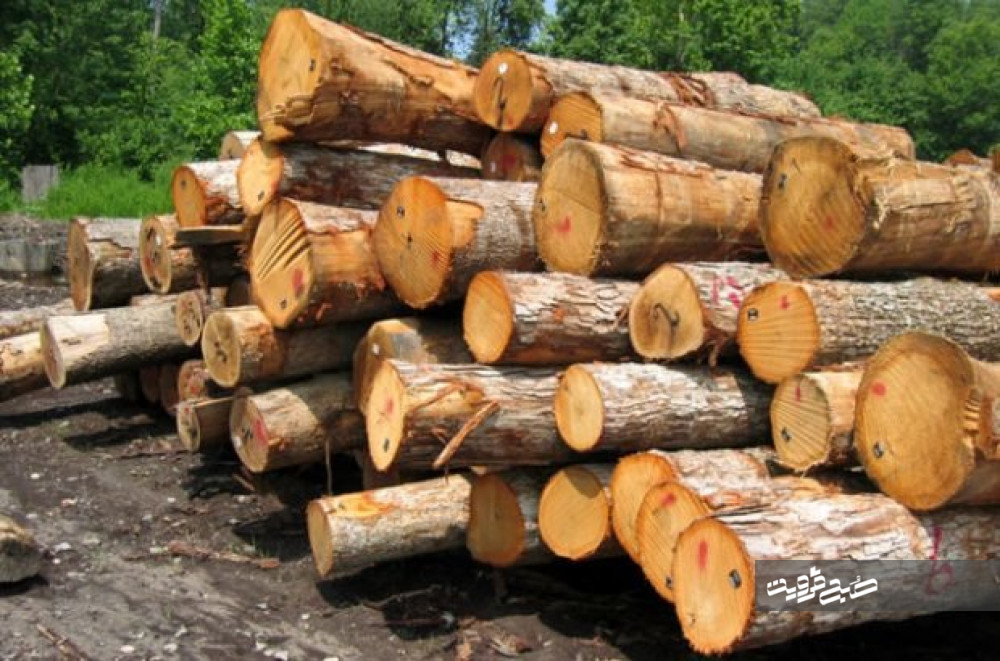 کشف ۴۰۰ متر مکعب چوب قاچاق در سال جاری
