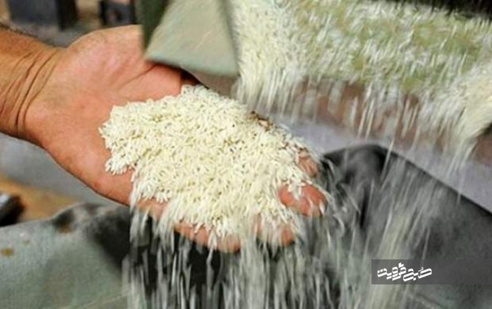 چرا برنج گران شد؟