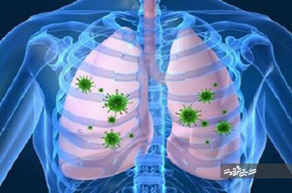 سه روش طبیعی برای پاکسازی ریه‌ها