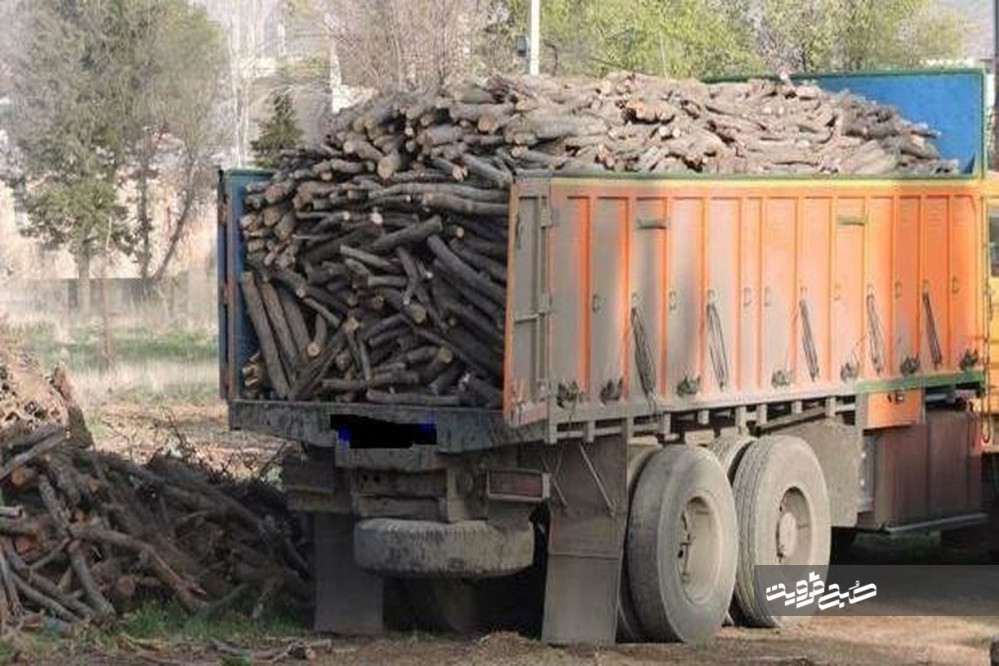 بیش از ۱۰۰ تن محموله چوب قاچاق در استان کشف و توقیف شد